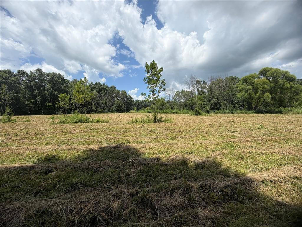 Tbd Campbell Road Property Photo 50