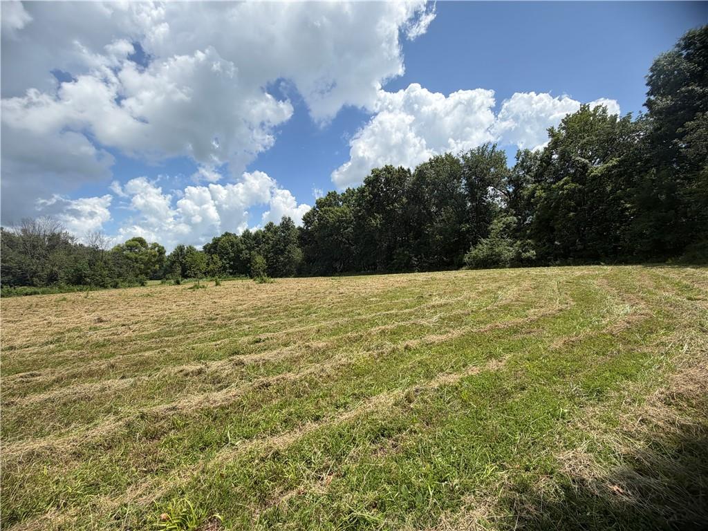 Tbd Campbell Road Property Photo 53