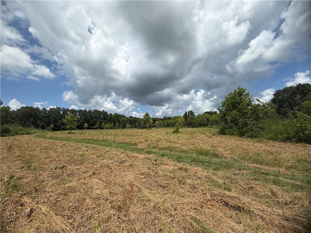 Tbd Campbell Road Property Photo 57