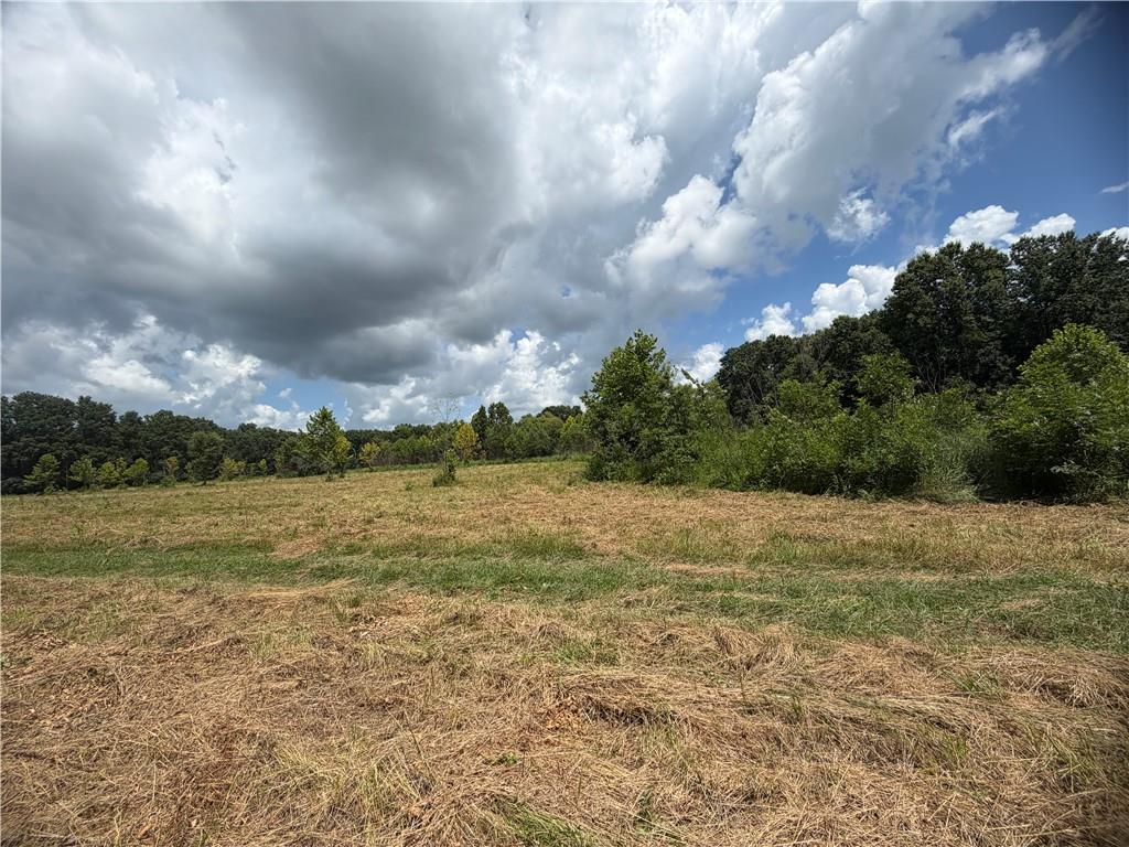 Tbd Campbell Road Property Photo 58