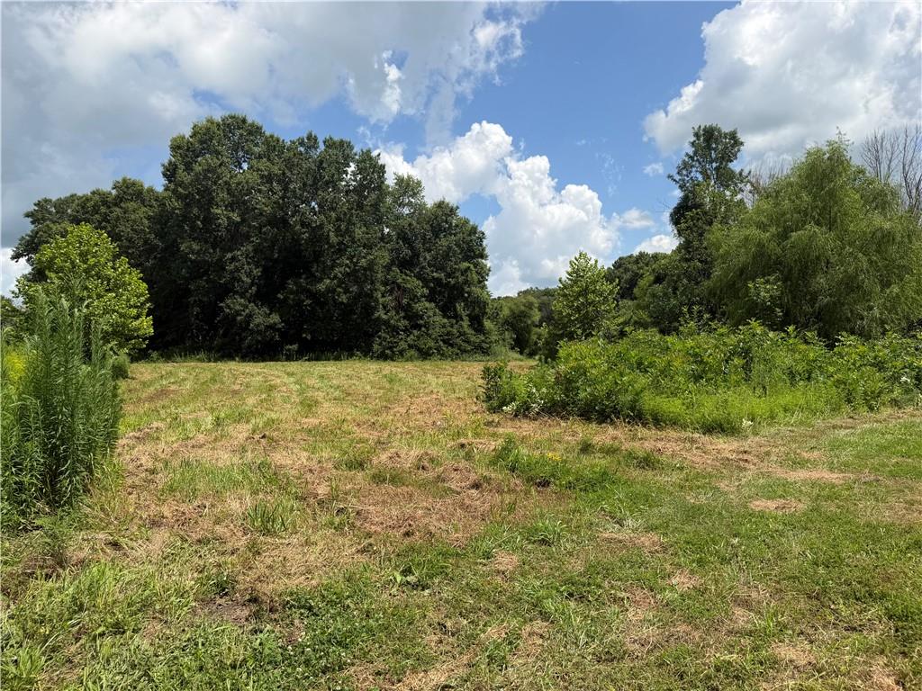 Tbd Campbell Road Property Photo 59