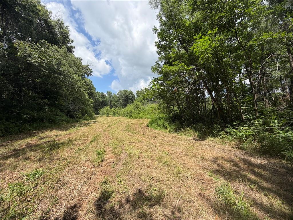 Tbd Campbell Road Property Photo 60