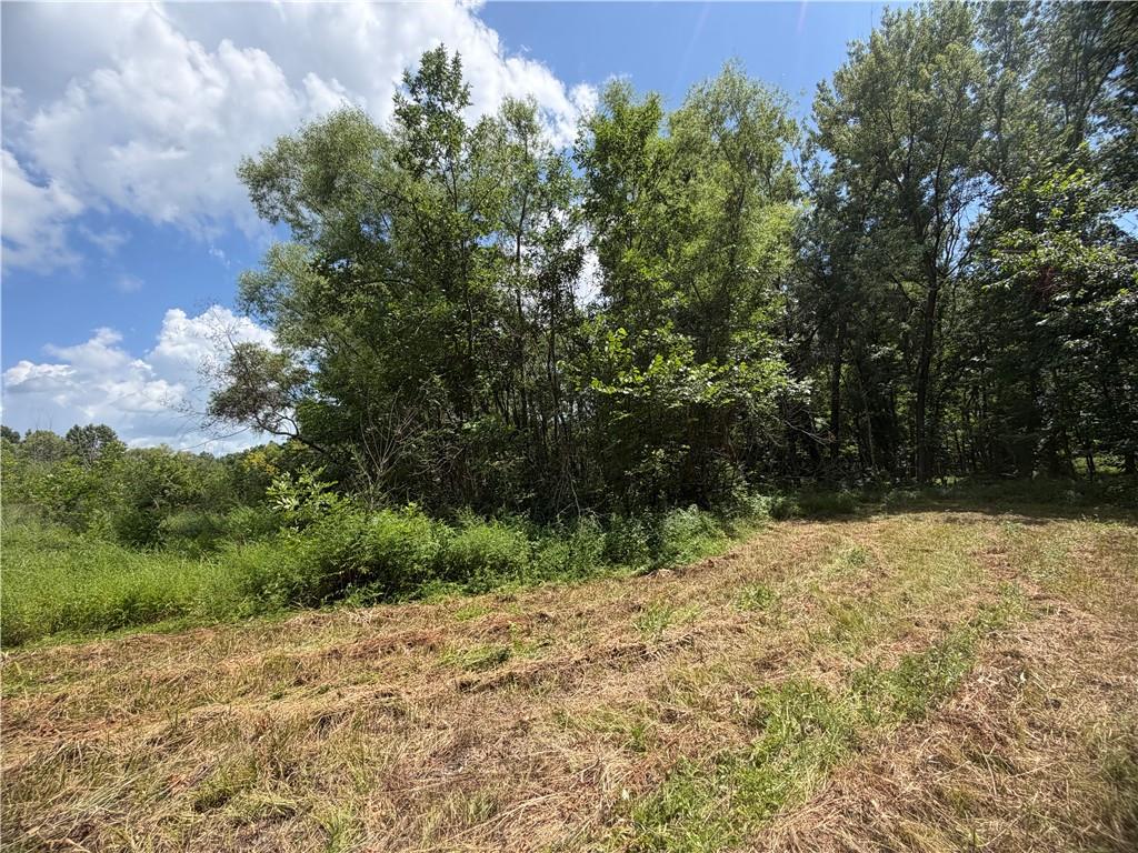 Tbd Campbell Road Property Photo 64