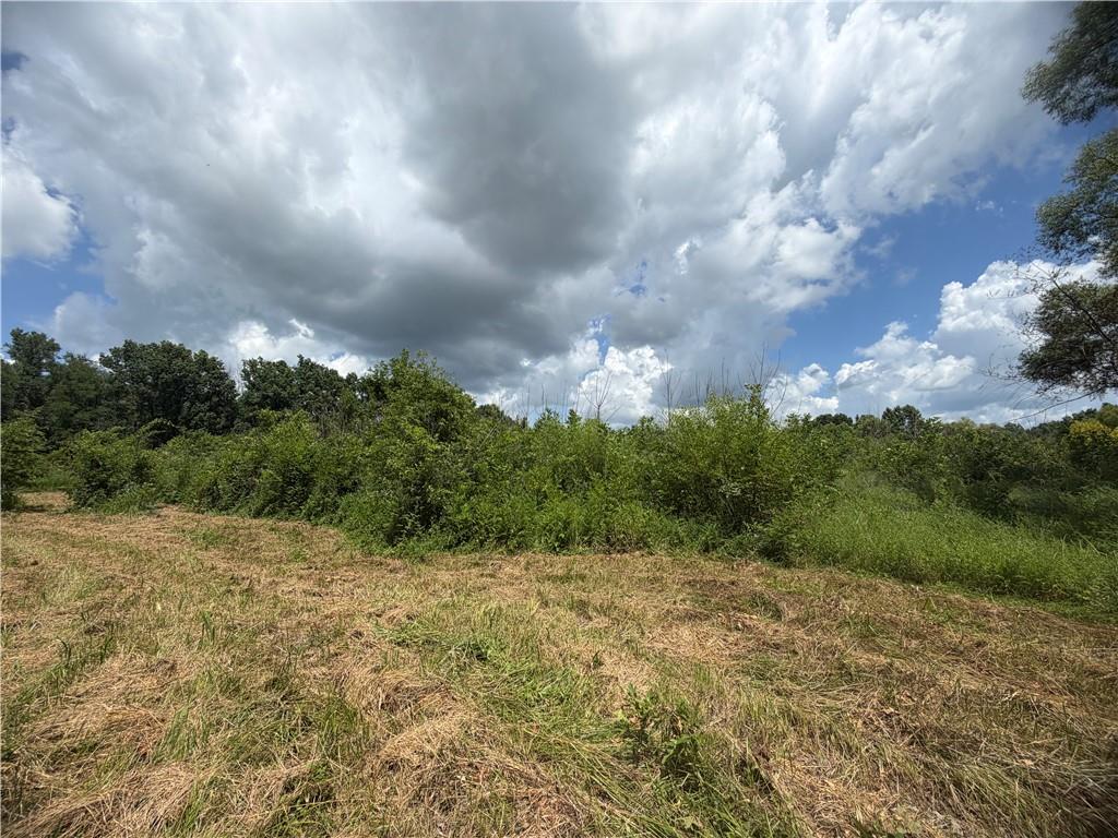 Tbd Campbell Road Property Photo 65