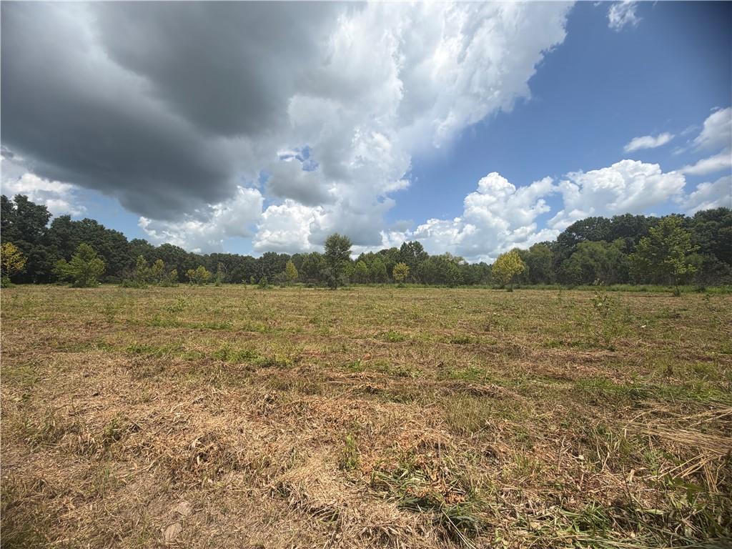 Tbd Campbell Road Property Photo 66