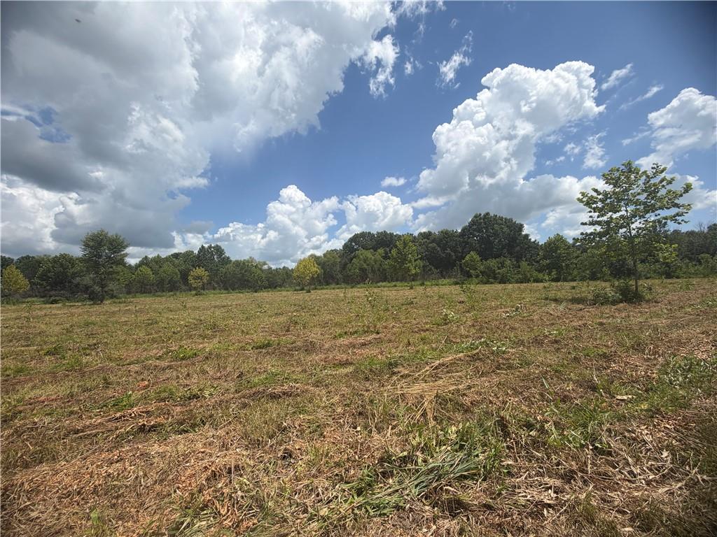 Tbd Campbell Road Property Photo 67