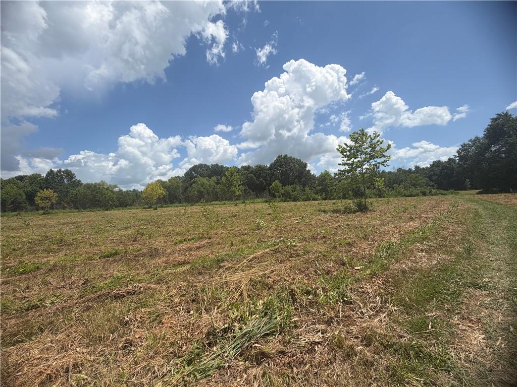 Tbd Campbell Road Property Photo 68