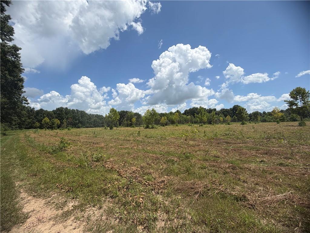 Tbd Campbell Road Property Photo 69