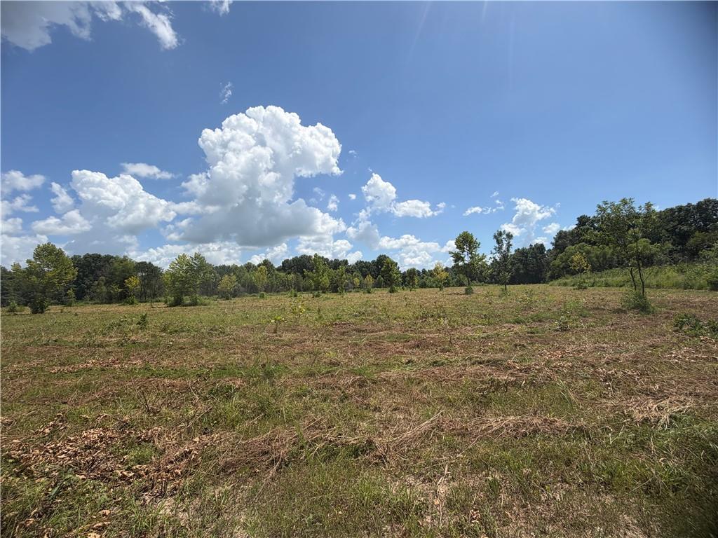 Tbd Campbell Road Property Photo 70