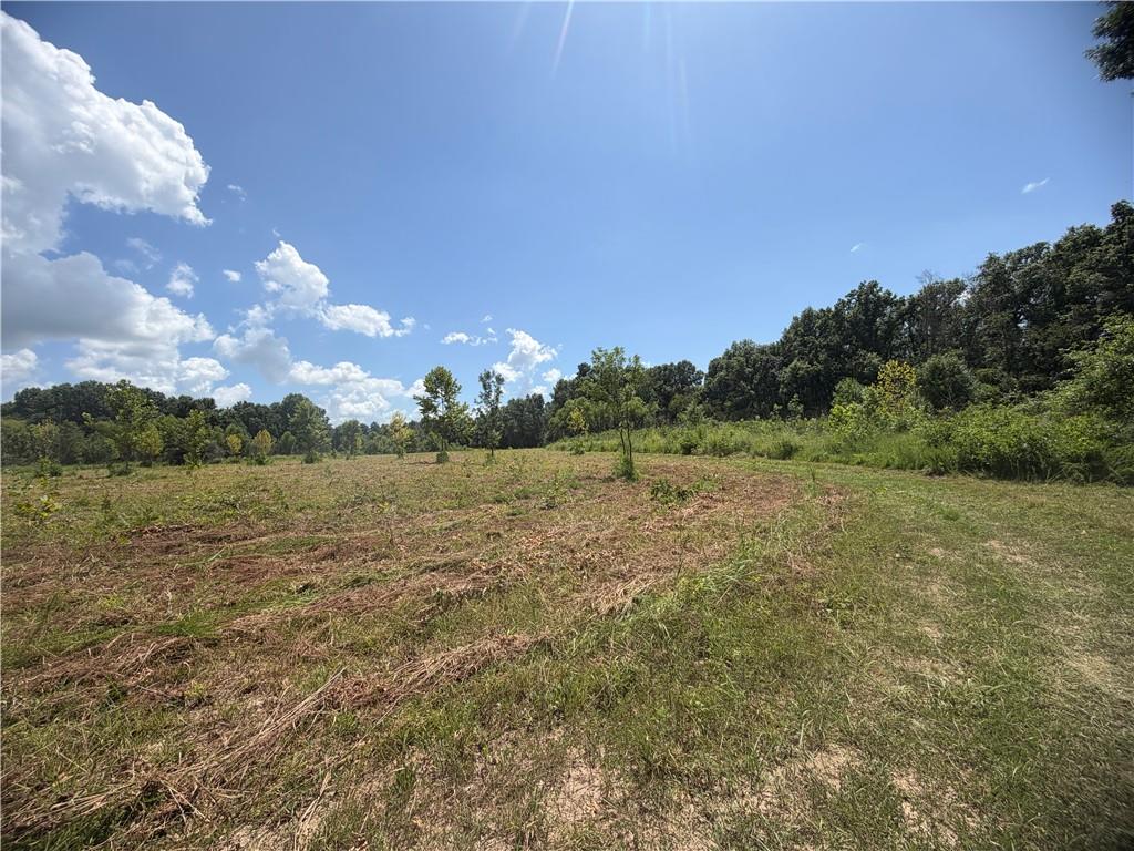 Tbd Campbell Road Property Photo 71