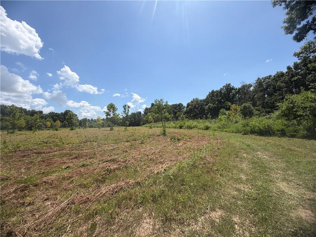 Tbd Campbell Road Property Photo 72