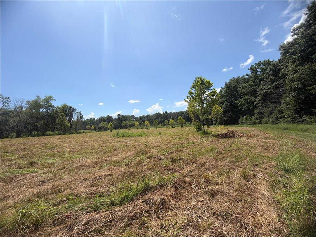 Tbd Campbell Road Property Photo 73