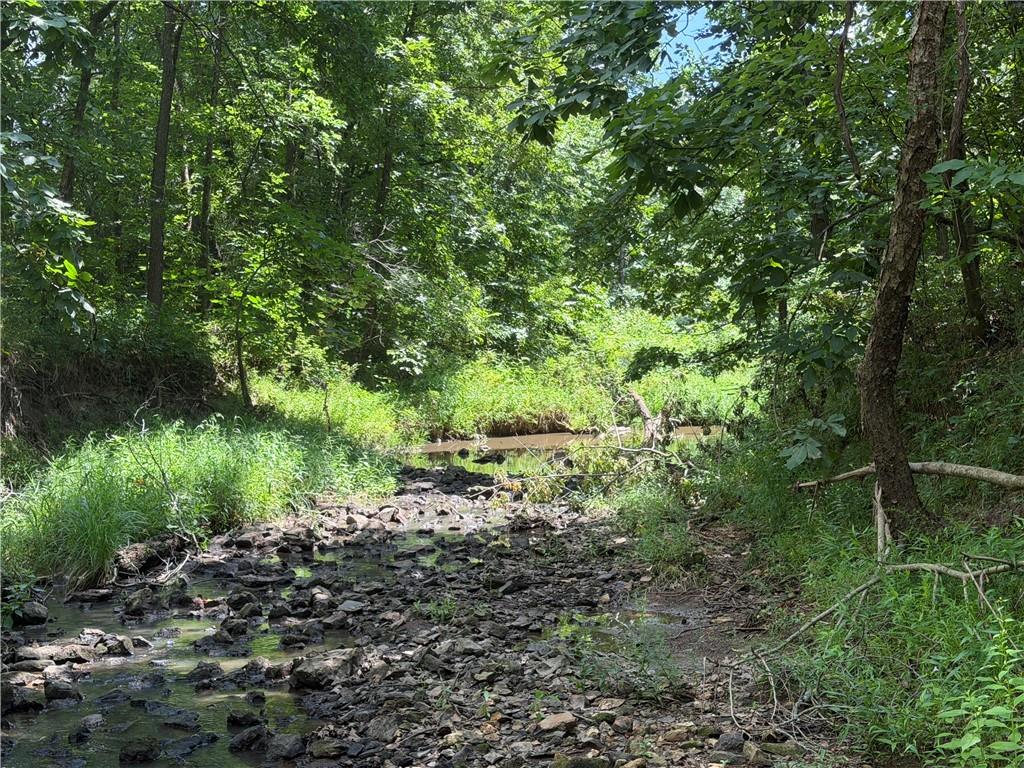 Tbd Campbell Road Property Photo 81