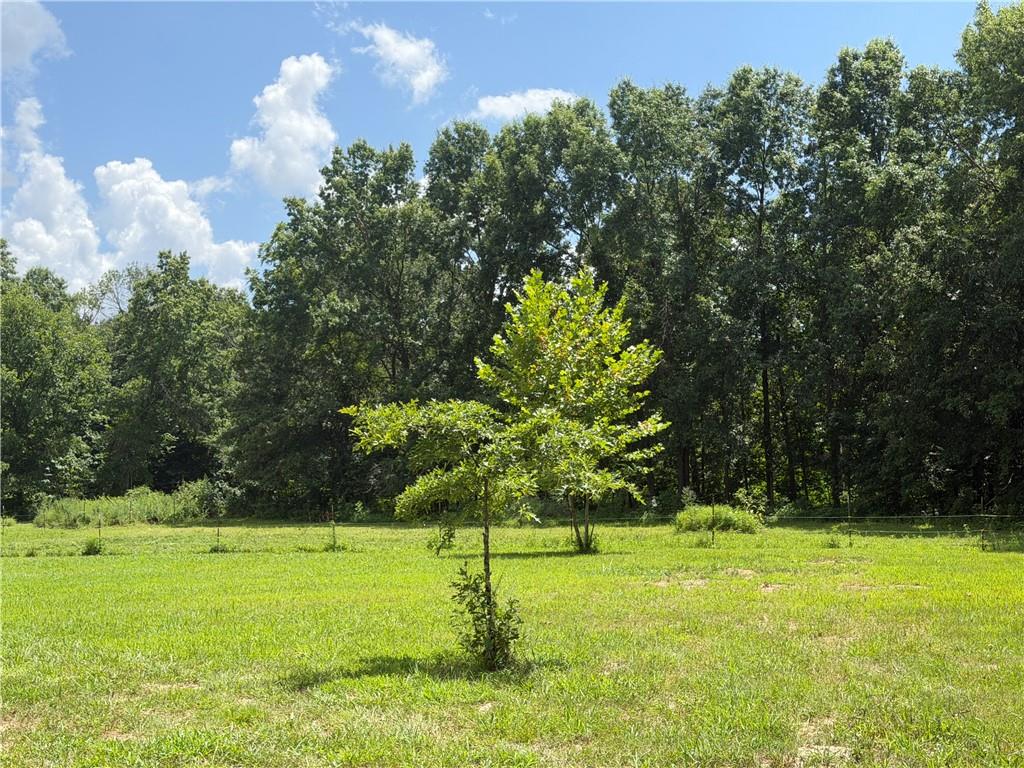 Tbd Campbell Road Property Photo 88