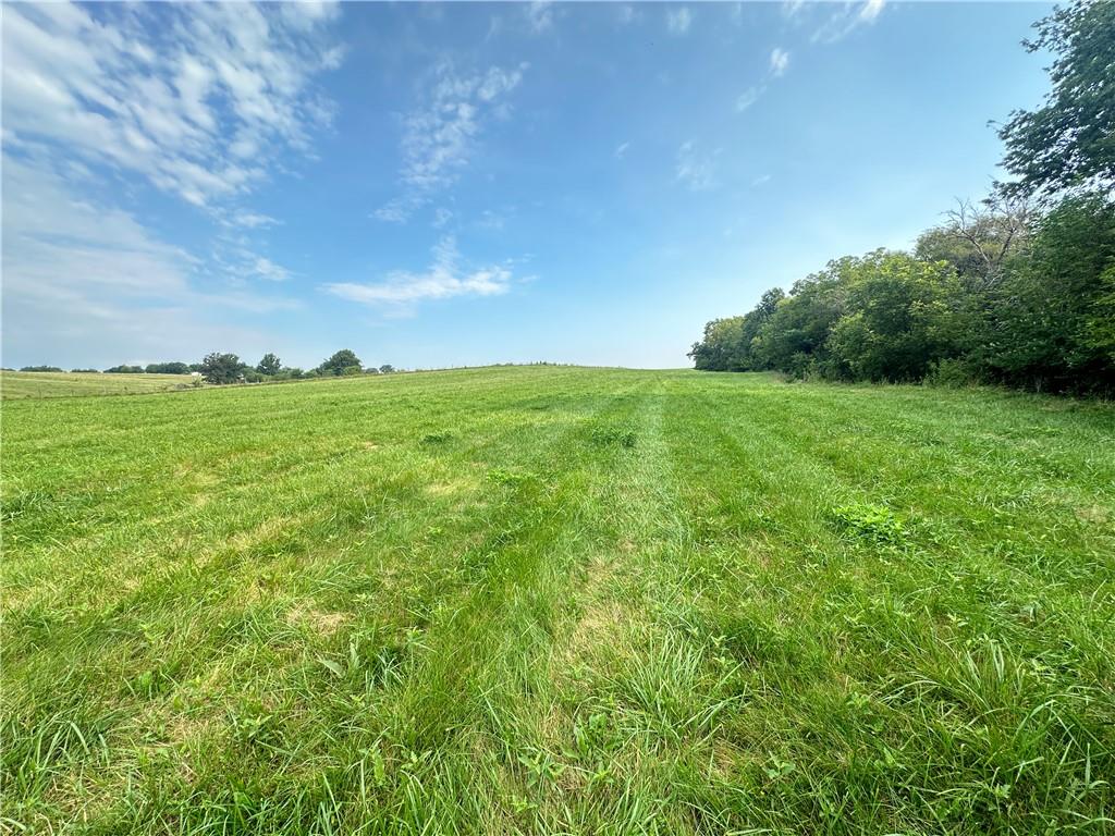 Tract 1 Jade Road Property Photo 20