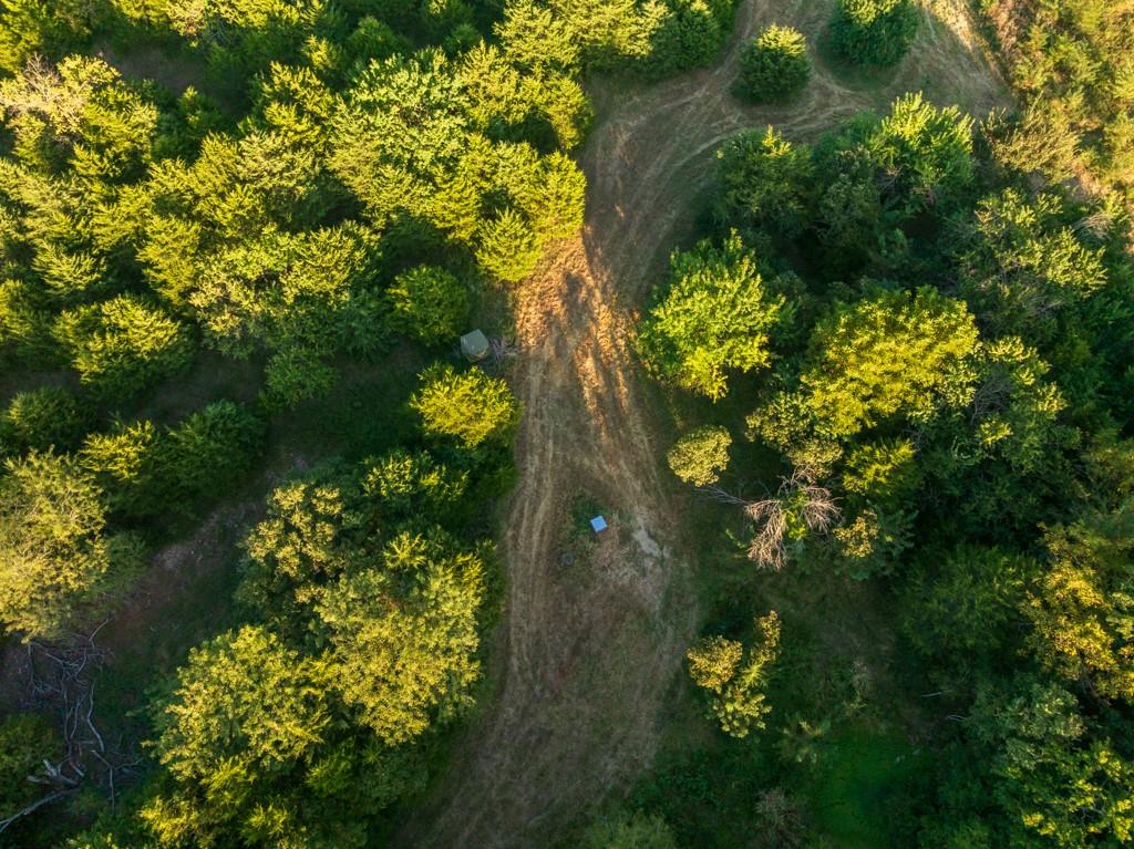 11615 32 Highway Property Photo 6