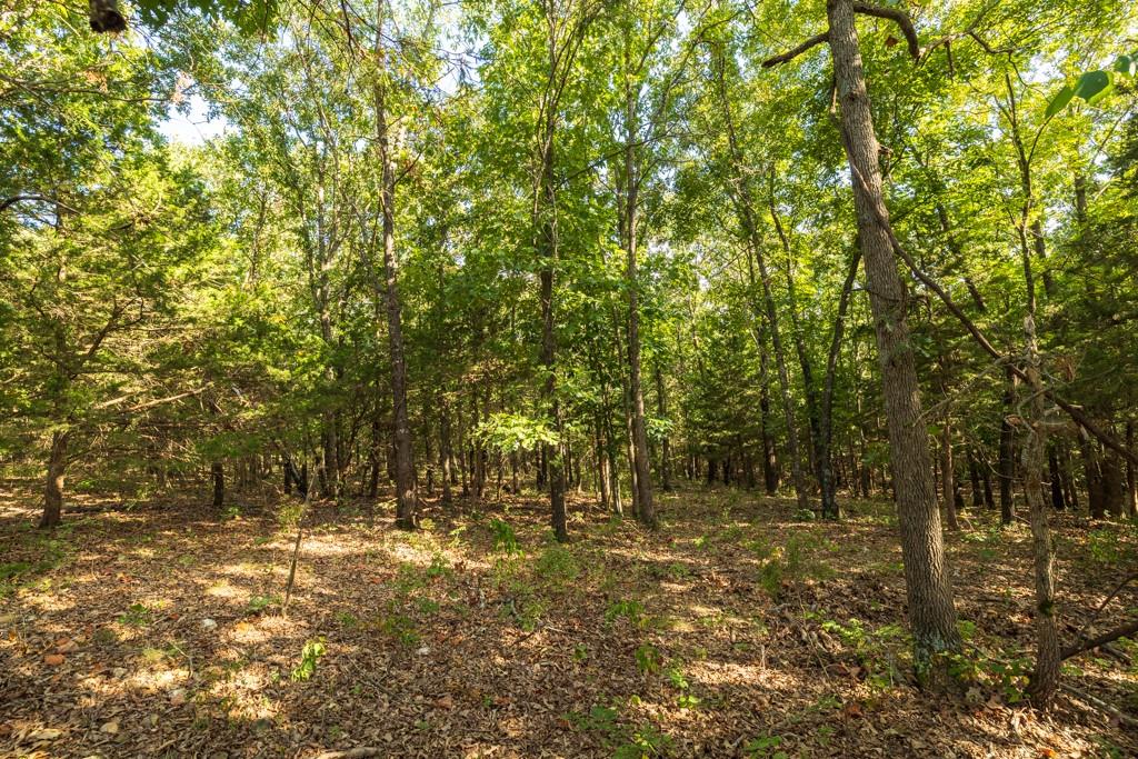 11615 32 Highway Property Photo 41