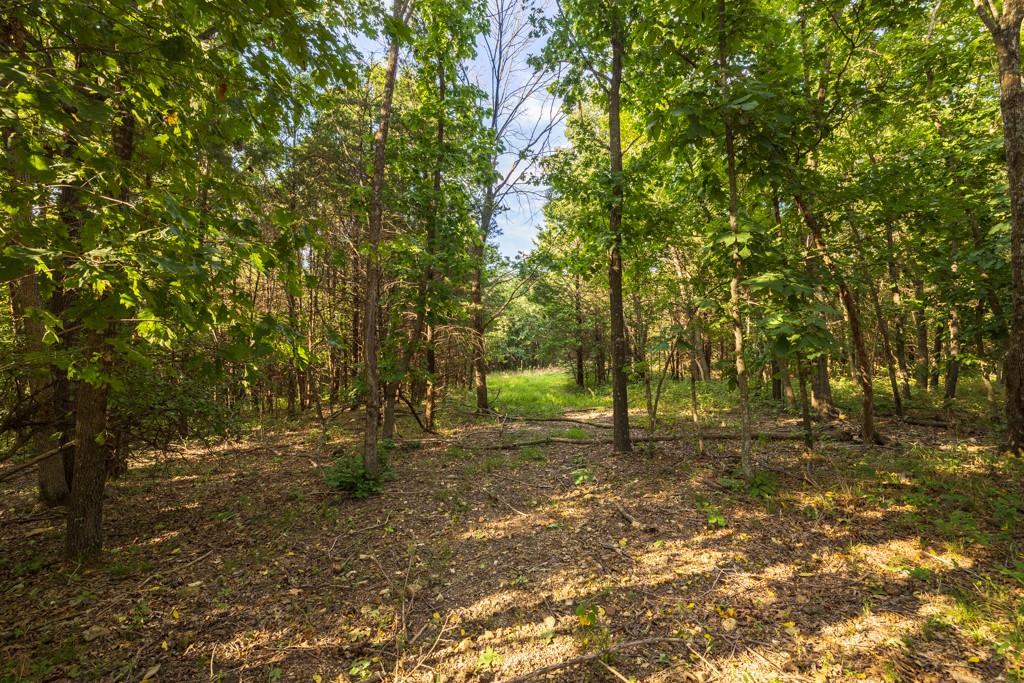11615 32 Highway Property Photo 48