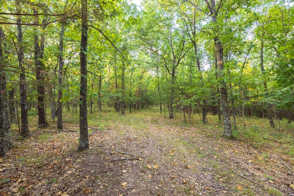 11615 32 Highway Property Photo 52