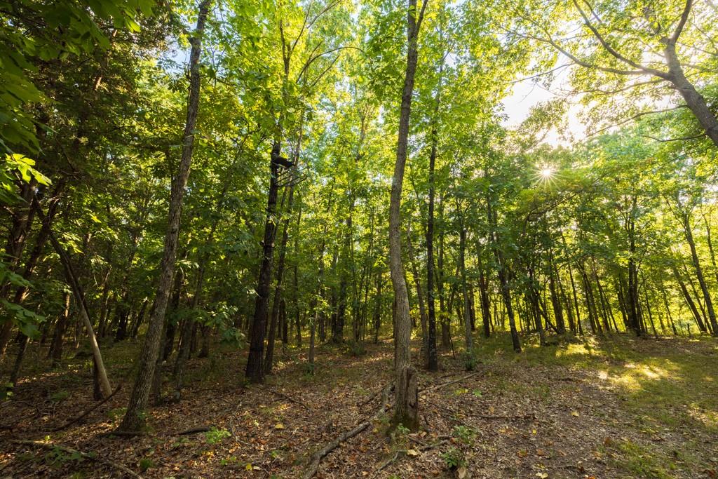 11615 32 Highway Property Photo 55
