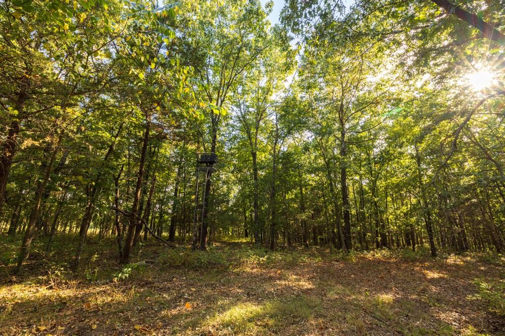 11615 32 Highway Property Photo 58