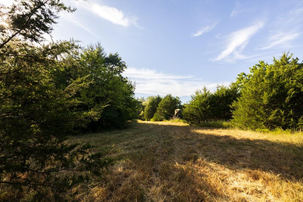 11615 32 Highway Property Photo 60