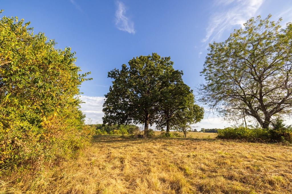11615 32 Highway Property Photo 63