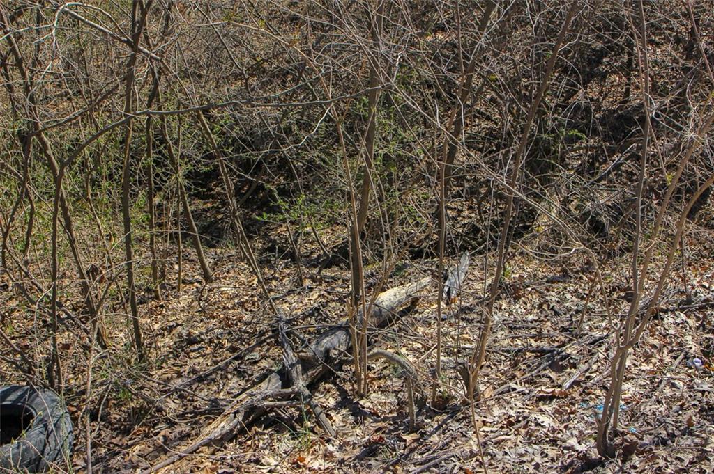 N Dometrorch Road Property Photo 5