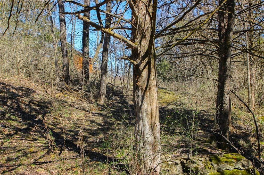 N Dometrorch Road Property Photo 7