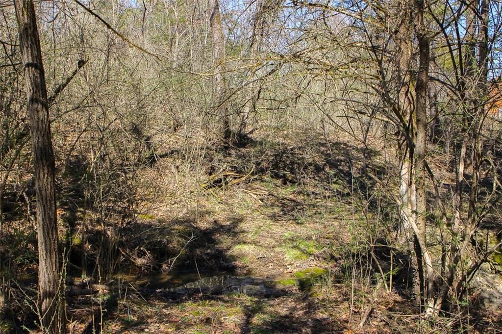 N Dometrorch Road Property Photo 8
