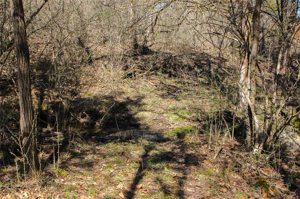 N Dometrorch Road Property Photo 9
