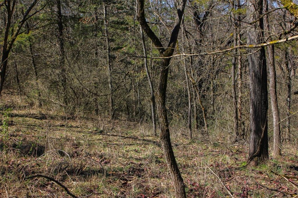 N Dometrorch Road Property Photo 10