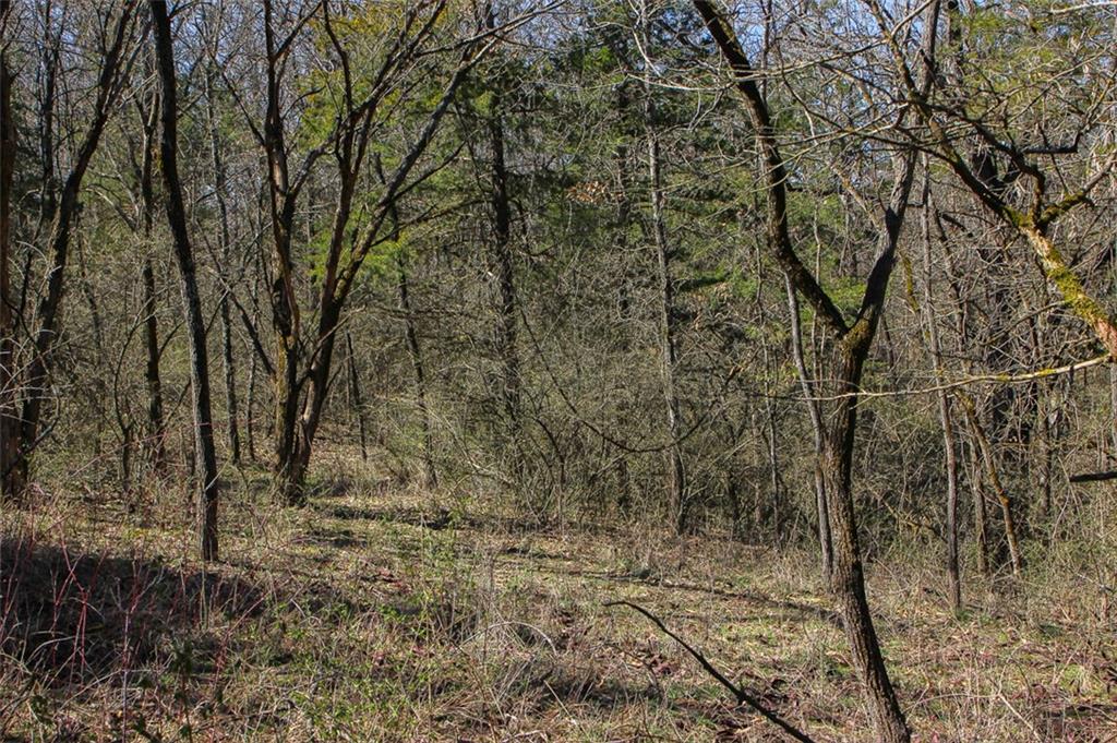 N Dometrorch Road Property Photo 11