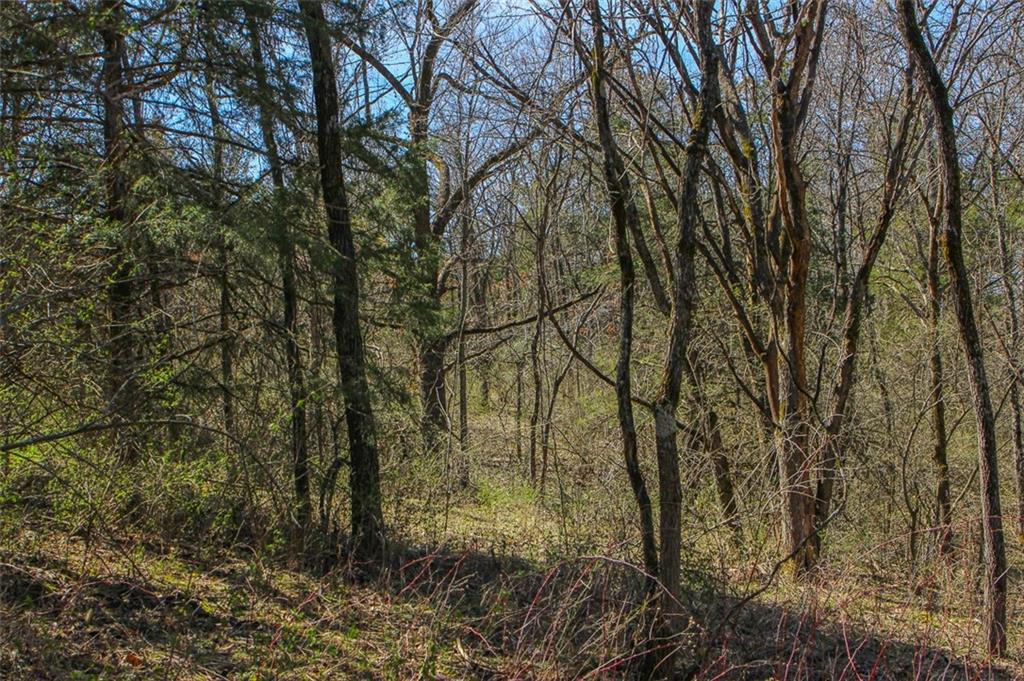 N Dometrorch Road Property Photo 12