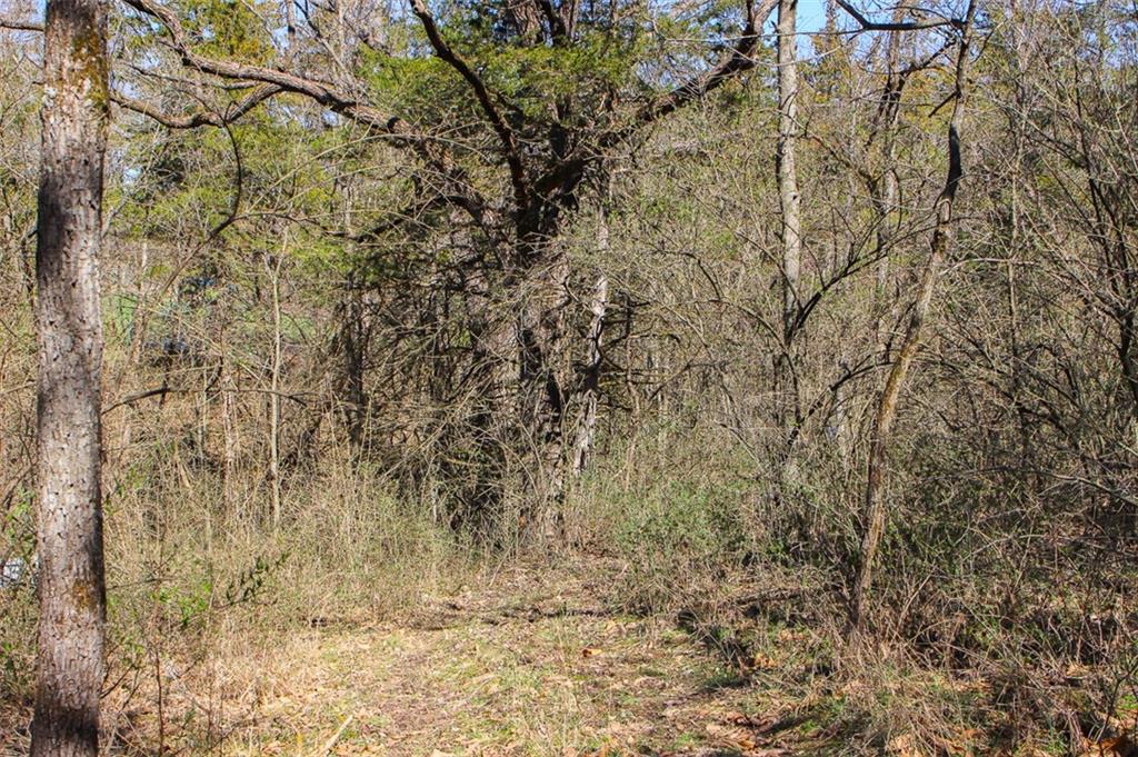 N Dometrorch Road Property Photo 13