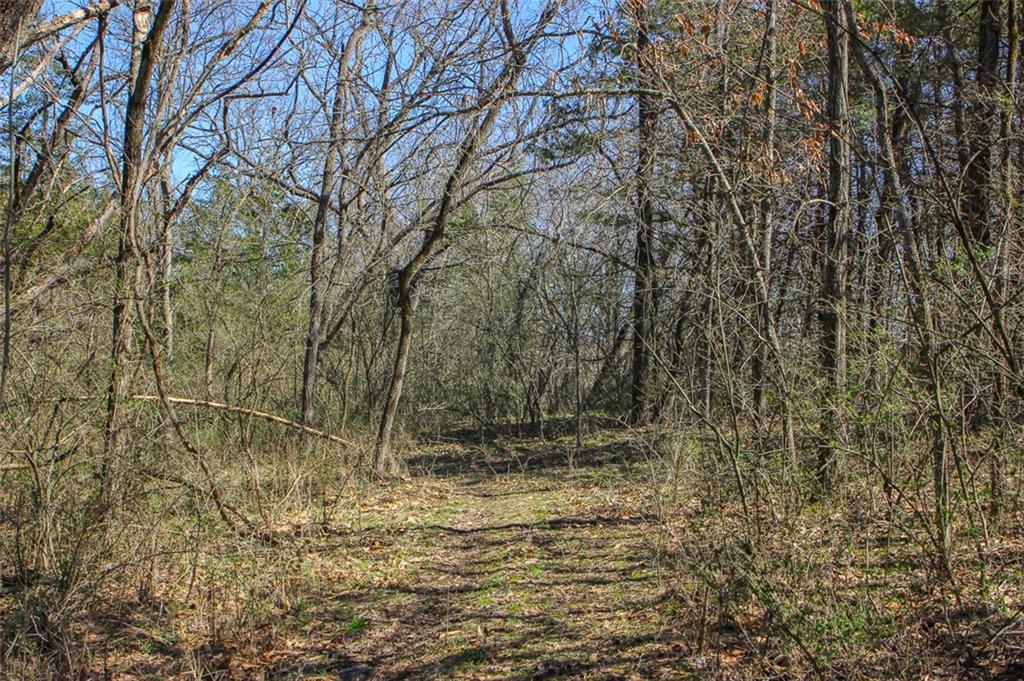 N Dometrorch Road Property Photo 14