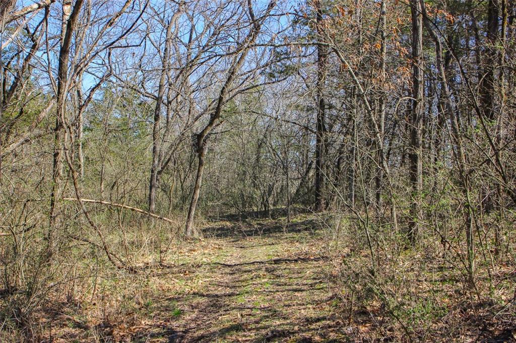 N Dometrorch Road Property Photo 15