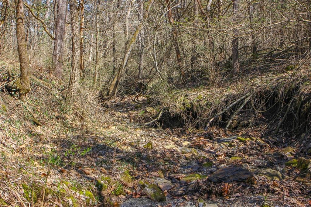 N Dometrorch Road Property Photo 16