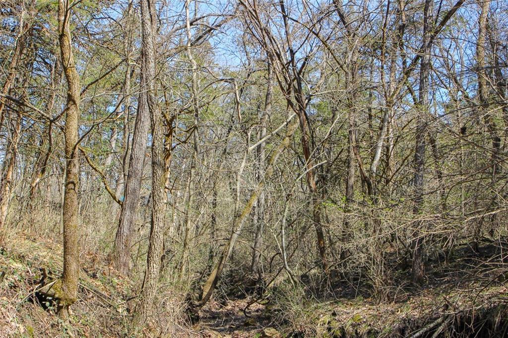 N Dometrorch Road Property Photo 17