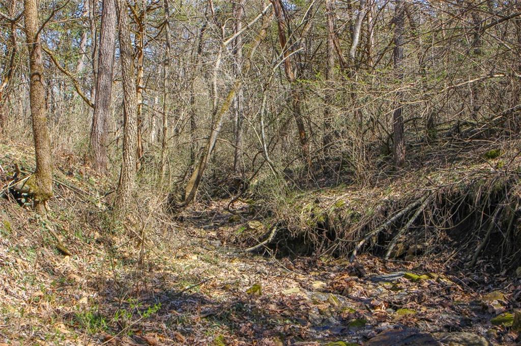 N Dometrorch Road Property Photo 18