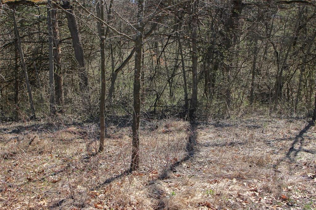 N Dometrorch Road Property Photo 21