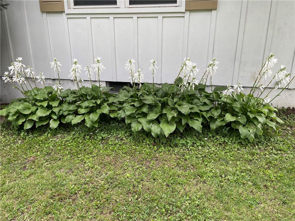 205 E Maple Street Property Photo 33