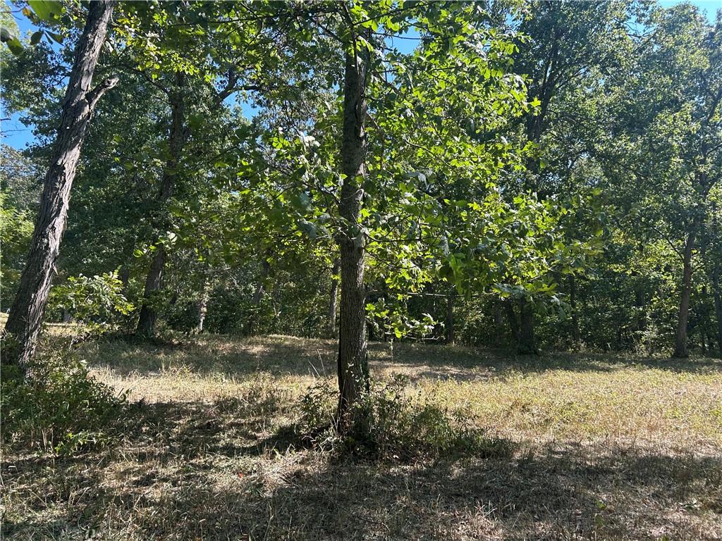 471 Se 1131 Road Property Photo 35