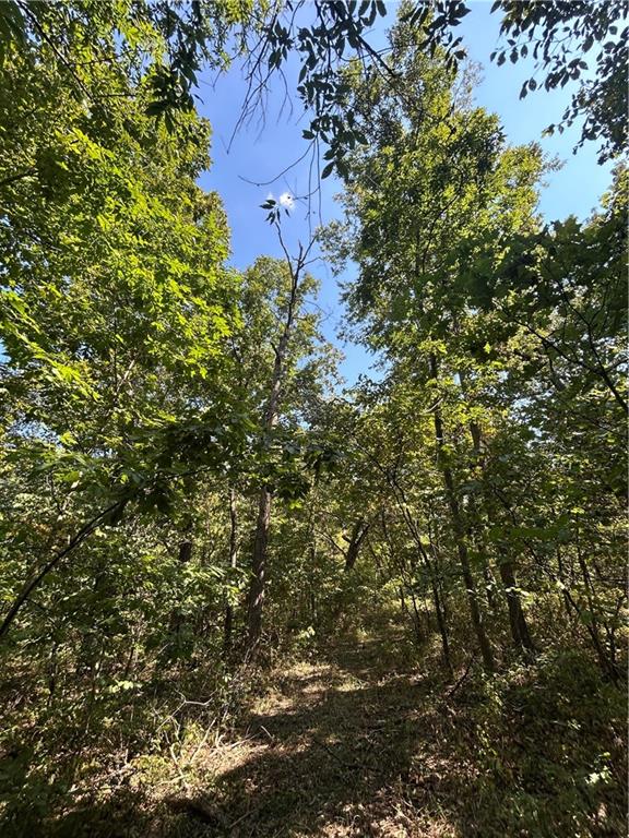 471 Se 1131 Road Property Photo 40