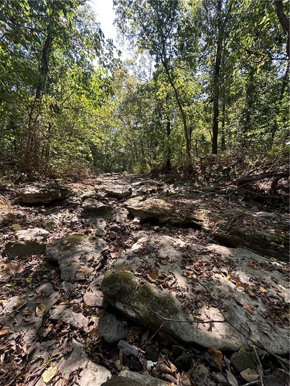 471 Se 1131 Road Property Photo 41