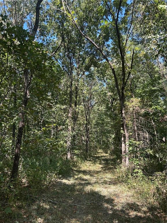 471 Se 1131 Road Property Photo 44