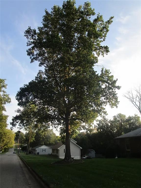 3906 Lakeview Drive Property Photo 10
