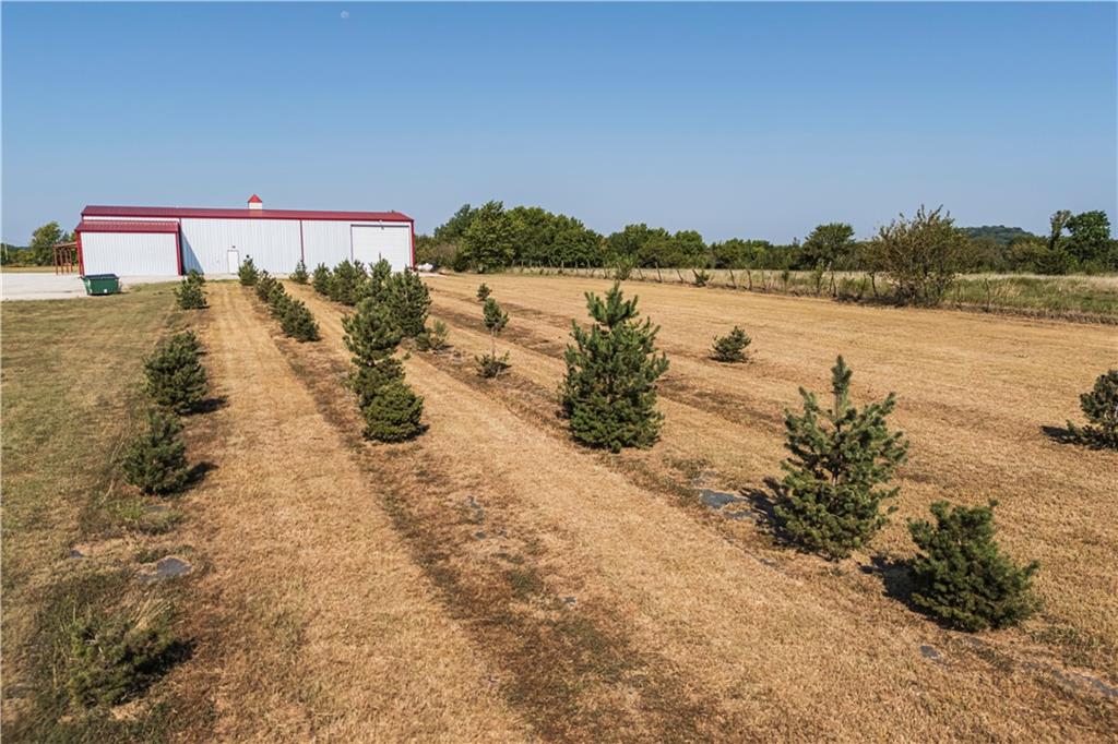 7770 1000 Road Property Photo 6