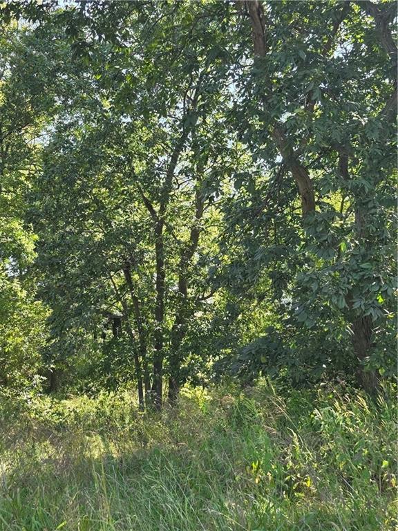 3561 Soo Line Drive Property Photo 13
