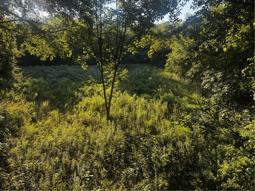 3748 Johnston Lane Property Photo 20
